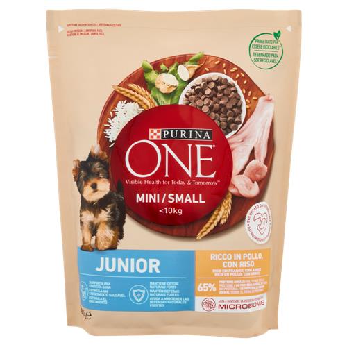 PURINA ONE CROCCANTINI CANE 800G MINI/SMALL <10KG JUNIOR RICCO IN POLLO CON RISO