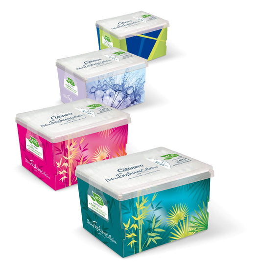 COTONEVE 300 BASTONCINI COTONATI BIODEGRADABILE MOTIV BOX ITALIAN FASHION COLLECTION