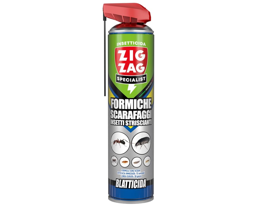 ZIG ZAG SPECIALIST FORMICHE E SCARAFAGGI INSETTI STRISCIANTI BLATTICIDA SPRAY 600ML