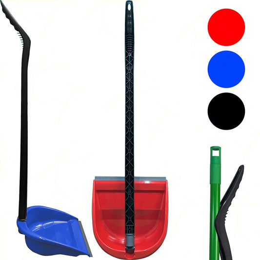 BAMA ALZAIMMONDIZIA "ARA"