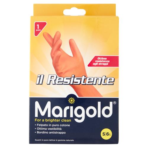 MARIGOLD IL RESISTENTE S 6 1/2