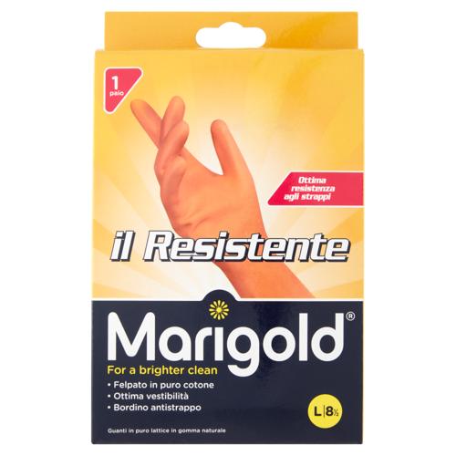MARIGOLD IL RESISTENTE L 8 1/2