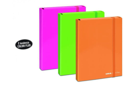 TINTA UNITA CARTELLA CON ELASTICO FASCIA DORSO 5 COLORI ASSORTITI