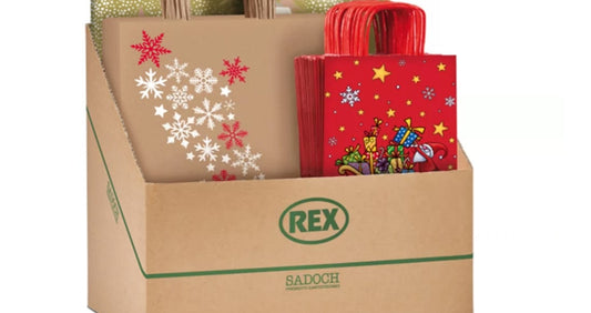 REX BUSTA CARTA MANICO RITORTO CM.26X12X34,5 FANTASIA NATALIZIA