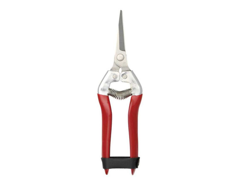 PAOLUCCI QUADRIFOGLIO FORBICI PULISCI UVA LAME INOX A PUNTA ART.368 CM.19 MANICO CROMATO CON GOMMA