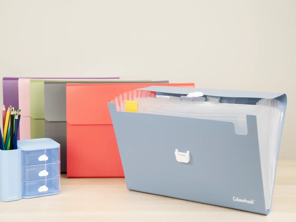 COLOURBOOK PORTADOCUMENTI A4 WILD 13 SCOMPARTI