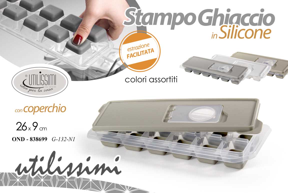 GICOS STAMPO GHIACCIO IN SILICONE CON COPERCHIO CM.26X9