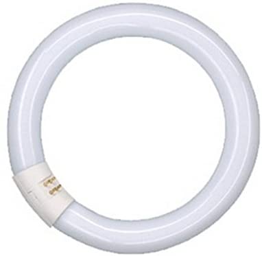 IMPERIA LAMPADA CIRCOLINA 32W 6500K