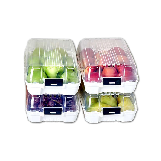 ARBEMA DUNYA CONTENITORE ORGANIZER PER FRIGO CM.33X19X11