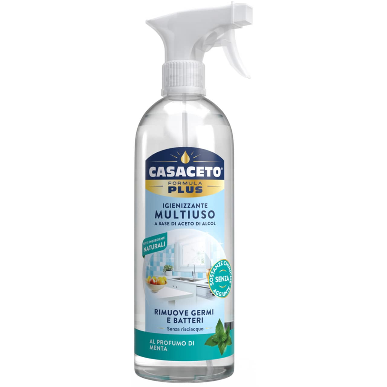 CASACETO PLUS IGIENIZZANTE MULTIUSO A BASE DI ACETO DI ALCOL SPRAY 750ML AL PROFUMO DI MENTA