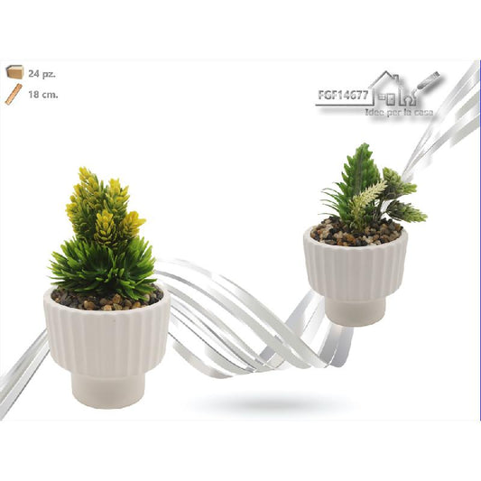 FGF PIANTINA IN VASO CERAMICA TONDO CM.18 ASSORTITA