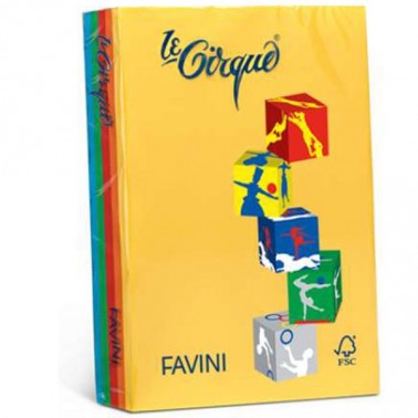 FAVINI 200 FOGLI COLORATI A4 80G/M2 COLORI TENUI