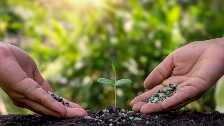 CONCIMI E PESTICIDI