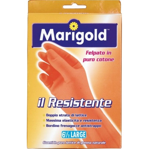 MARIGOLD IL RESISTENTE S 6 1/2