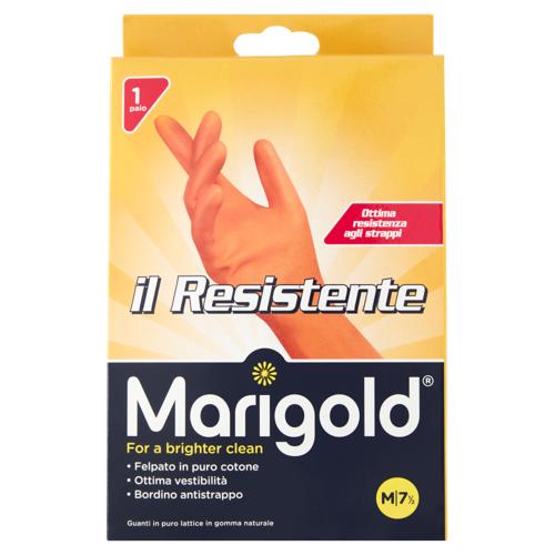 MARIGOLD IL RESISTENTE M 7 1/2