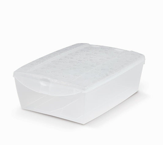 DOMOPAK LIVING SCARPABOX PVC SMALL CM.26X36X13