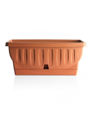 BAMA FIORIERA NATURA COTTO CM.30 30200