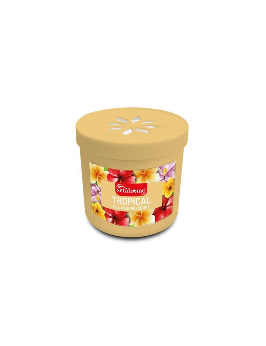 SETABLU HOME GEL ASSORBIODORI 190GR TROPICAL
