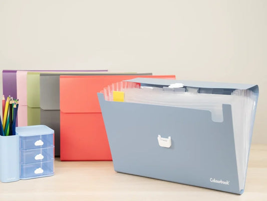 COLOURBOOK PORTADOCUMENTI A4 WILD 13 SCOMPARTI