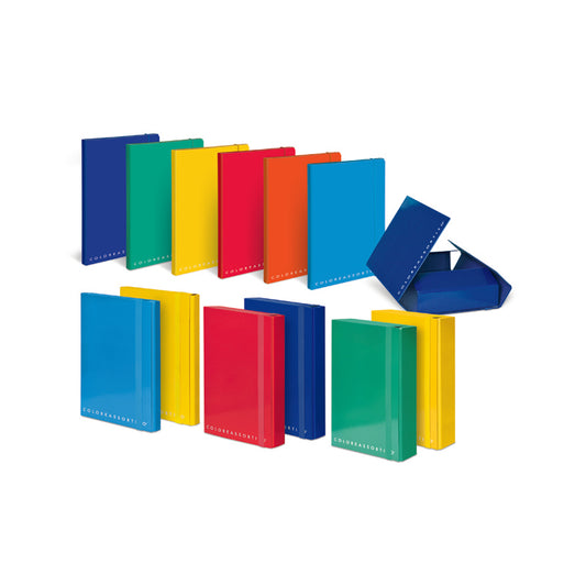 PLINC CARTELLA C/ELASTICO FASCIA D5 COLORATA