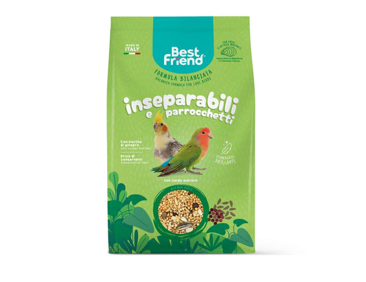 BEST FRIEND INSEPARABILI&PARROCCHETTI MANGIME 500G