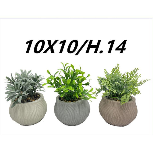 CASA MILANO PIANTA GRASSA VASO CERAMICA CM.10X10X14H ASSORTITA