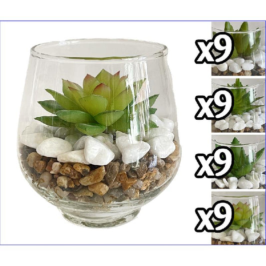 VEA PIANTA GRASSA VASETTO VETRO CM.9X9,5 ASSORTITA