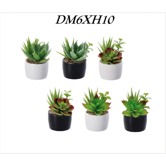 AD TREND PIANTINA GRASSA VASETTO CERAMICA CM.6X10H